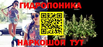 таблы Будённовск