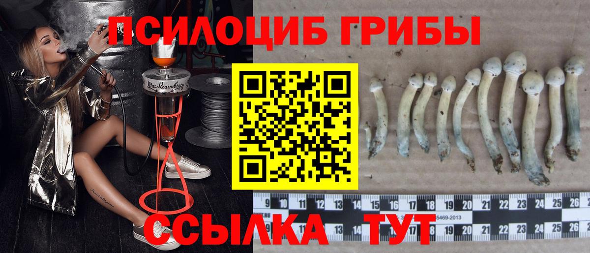 цена наркотик  Галлюциногенные грибы мицелий  Вход с VPN  Псилоцибиновые грибы GOLDEN TEACHER  Краснодар 