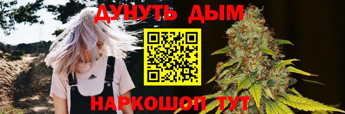 Каннабис SATIVA & INDICA Краснодар